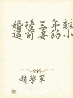 婚后三年离婚再追前妻的小说