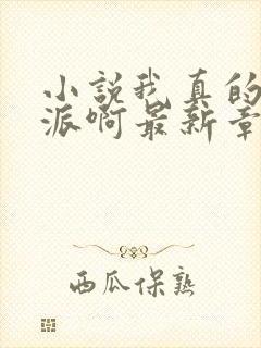 小说我真的是反派啊最新章节