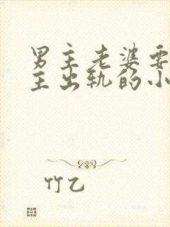 男主老婆要求男主出轨的小说封面