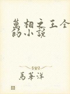 万相之王全免费的小说