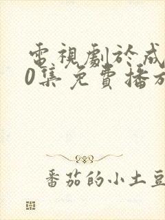 电视剧于成龙40集免费播放封面