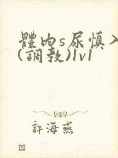 体内s尿慎入h(调教)1v1