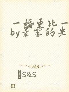 一婚更比一婚高by晨雾的光类似的小说