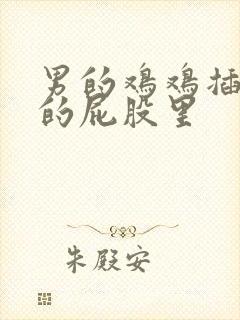 男的鸡鸡插进女的屁股里封面