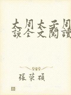 大周太子周铮小说全文阅读无弹窗