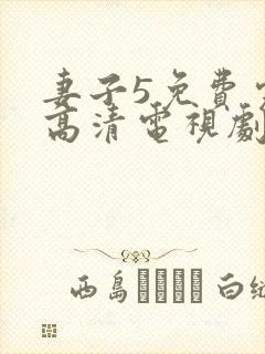 妻子5免费完整高清电视剧看