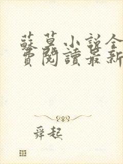 苏莫小说全文免费阅读最新章节