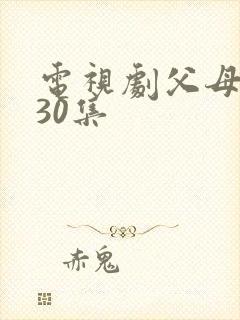 电视剧父母爱情30集