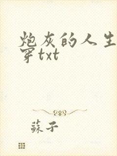 炮灰的人生2快穿txt