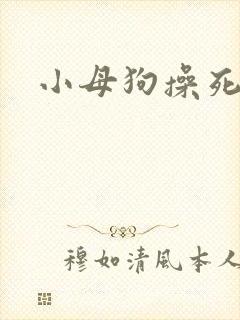 小母狗操死你封面