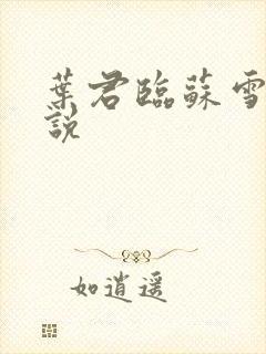 叶君临苏雪儿小说