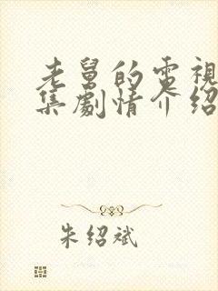 老舅的电视剧分集剧情介绍