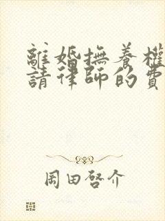 离婚抚养权纠纷请律师的费用