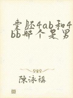 囊胚4ab和4bb哪个是男孩女孩