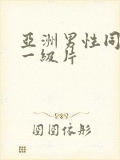 亚洲男性同性恋一级片封面