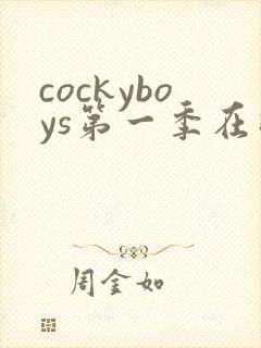cockyboys第一季在线观看免费版