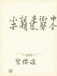 小说老街中的痞子赵凤声全集封面