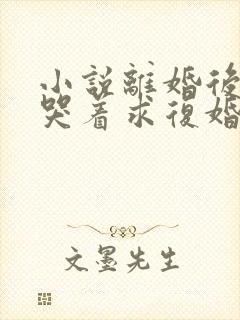 小说离婚后前夫哭着求复婚txt