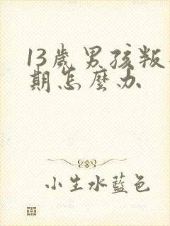 13岁男孩叛逆期怎么办