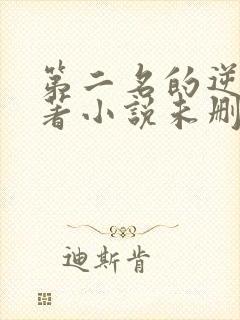 第二名的逆袭原著小说未删减封面