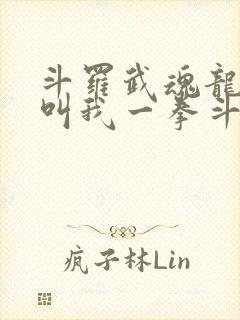 斗罗武魂龙拳请叫我一拳斗罗笔趣阁