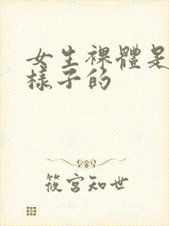 女生裸体是什么样子的封面