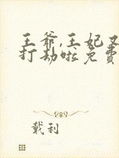 王爷,王妃又去打劫啦免费阅读