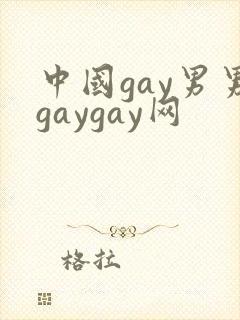 中国gay男男gaygay网