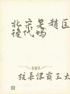 北宋是赵匡胤的后代吗