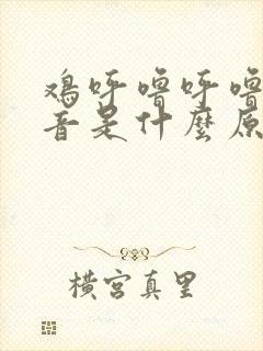 鸡呼噜呼噜的声音是什么原因封面