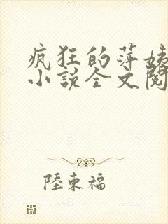 疯狂的萍姨王强小说全文阅读封面