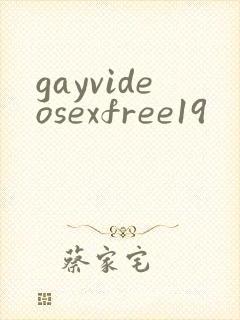 gayvideosexfree19