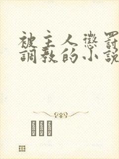 被主人惩罚玩弄调教的小说