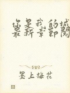 你是我的城小说最新章节阅读全文