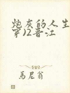 炮灰的人生(快穿)2晋江封面