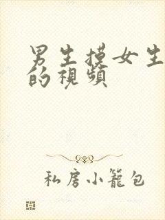 男生摸女生乳头的视频