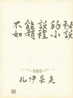 不能说的秘密林如赵程小说免费完结