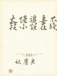 大佬追妻不择手段小说在线收听封面