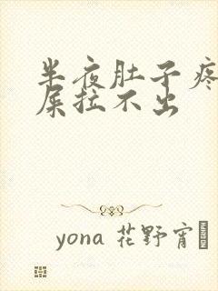 半夜肚子疼想拉屎拉不出