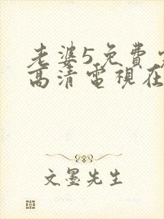 老婆5免费完整高清电视在线看大陆剧封面