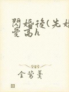 闪婚后(先婚后爱高h