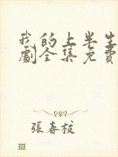 我的上半生电视剧全集免费观看封面