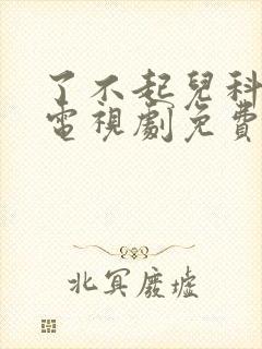 了不起儿科医生电视剧免费观看