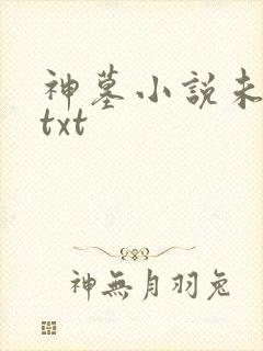 神墓小说未删版txt封面