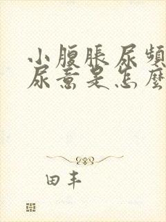 小腹胀尿频总有尿意是怎么回事