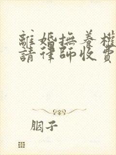 离婚抚养权官司请律师收费封面