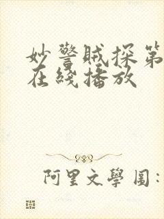 妙警贼探第二季在线播放