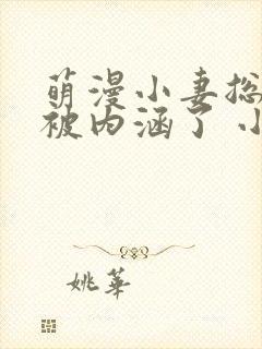 萌漫小妻总裁你被内涵了 小说封面