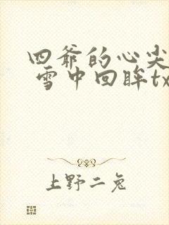 四爷的心尖宠妃 雪中回眸txt