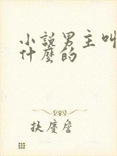 小说男主叫沈衍什么的封面